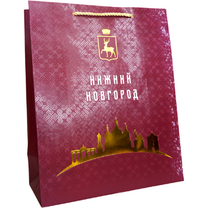 Пакет подарочный "Нижний Новгород", размер 26*32*12 (1/12)(кор.480), арт.A-2505M